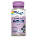 SOLARAY Bilberry Berry Extract 60 mg, 120 VegCaps | Vision & Circulatory Health Support, Standardized Bilberry Extract with Anthocyanosides, 120 Servings, Vegan & Lab Verified