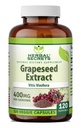 Herbal Secrets Grapeseed Extract 400 mg 120 Veggie Capsules Supplement - Non-GMO - Gluten Free
