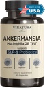 VINATURA Akkermansia Probiotic - Akkermansia Munciniphila Supplement, GLP-1 Supplement - 60 Kapseln