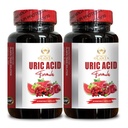 URIC Acid Support - Restore Joint Comfort, Mobility, Flexibility, Includes Tart Cherry, Chanca Piedra, Celery Extract & Turmeric - 2 Bottles 120 Capsules