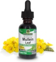 Nature's Answer Mullein Herb - Mullein Leaf Extract for Lungs - Sans alcool, sans OGM, fabriqué aux États-Unis - soutient la fonction respiratoire et favorise la santé des poumons - Mullein Leaf 1 Ounce Extract