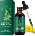 Mullein Drops for Lungs, Mullein Leaf Tincture טיפות | 2 fl oz | Mullein Leaf Extract for Lungs Detox and Respiratory Lung Health, תמיכה ב- Respiratory, Natural Herbal