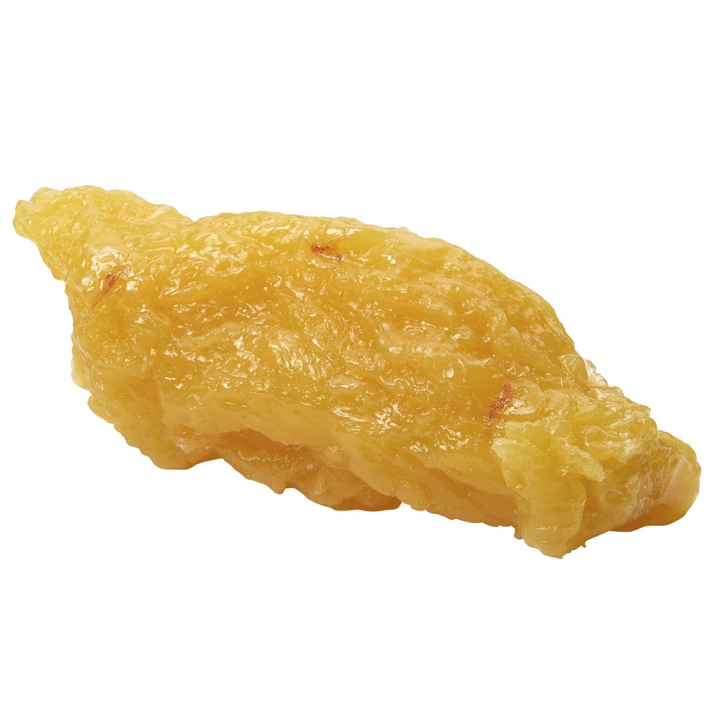 Nasco WA04313 Giza Gorputza Fat Replica, 5lb.