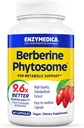 Enzymedicica, Feberine Phytosome, 9.6X Millor bioovailitat, alta Potència Natural Vega Dietary suplementari per la implementació Metabolic, 60 Capsule