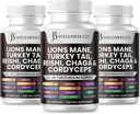 Elions Mane suplementaris Implementació de Cognitive, imune Sanitat amb Turquia Tail 20in1 Mshushro Rewishps Chaga amb Marshmallow Root -180 Compte