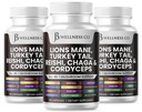 JB Wellness Co Lions Mane Supplement Cognitive Support, Immune Health with Turkey Tail 20in1 Mushroom Reishi Cordyceps Chaga with Marshmallow Root -180 Count