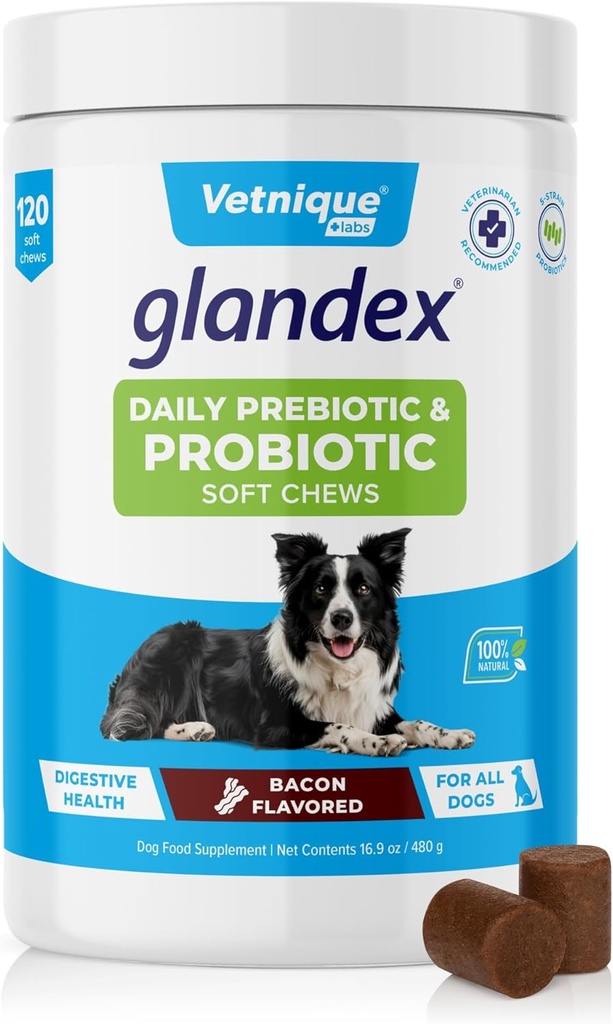 Vetnique Glandex 섬유와 소화 효소, Probiotic Chews 또는 분말 (120ct Chews, Bacon Chews)를 가진 개를 위한 매일 Probiotics