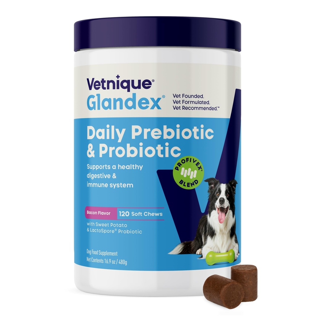 Vetnique Glandex Dog Probiotic Chews, Daily Probiotics for Dogs 5 Strains, Prebiotics & Digestive Enzymes for Gut & Immune Health, Vet Formulated for Occasional Diarrhea (120ct Chews, Proboitic Chews)