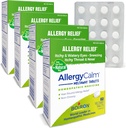 Boiron AllergyCalm Tablets 240 Count, Relief from Allergies and Hay Fever הסימפטומים של Sneezing, Runny Nose, Itchy Eyes, גרון, Allergy Calm Tabs (Formerly RhinAllergy) (Pack of 4 60ct Boxes)