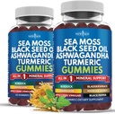 Gummies de la mousse de mer, de la mousse de mer, de la graine noire, de l'ashwagandha, du curcuma, du miel de Manuka, du vinaigre de cidre, de la dandelion, du poivre noir, de l'ordock, du bladderwrack, du végétalien - 120 comtes