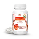 Premium Mastic Gum Capsules - Natural Gastrointestinal Support Supplement, 1000mg Per Serving - 120 Capsules (1 Bottle)