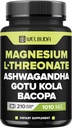 L-Threonate镁 Capsules 1010mg - 210 capsules - 与 Ashwagandha Root, Gotu Kola Leaf 等混合