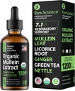 Detox untuk Smokers Lung: Mulein Extract, Licorice, Ginger, Oregano & Nettle Leaf, Thyme - Lung Cleanse Herbal Extract, 2oz