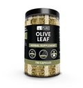 Pure Original Ingredients Olive Leaf (730 Capsules) No Magnesium Or Rice Fillers