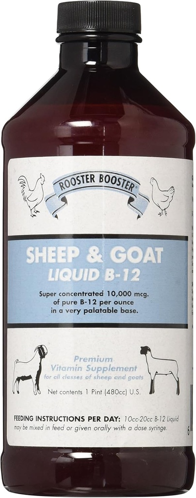 Rooster ATM B-12 Koyun ve Goat Liquid, 16-Ounce