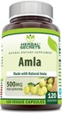 Taimsed saladused Amla täiendus | 500 Mg ühe serveerimise kohta | 120 Veggie kapslit | Valmistatud loodusliku amlaga | Täiendus | Mitte-GMO | Gluteenivaba | Valmistatud USA-s