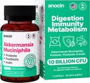 Akkermansia Muciniphila + Probiotic, Postbiotic & Inulin - 消化、免疫支持的古特健康补充剂 - 100亿 CFU, Vegan & Gluten-Free