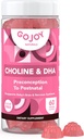 Prenatální Cholin & DHA Gummies - Představa pro postnatální Gummy doplněk vitamínu pro těhotné ženy - Sweeced s Monk Fruit - třetí strana Testováno - Non GMO, Gluten Free, Vegan