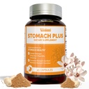 Stomach Plus,Gastric Lining Integrity, Ulcer & Gastritis Support,Gastric Upset, Motility Support, with Galangal, Dong Quai, Cinnamon & Magnolia - 45 Capsules