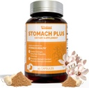 Stomach Plus-for Stomach, Gastritis, Stomach Lining תיקון, Acid Reflux, Heartburn, Indigestion, עם Galangal, Dong Quai, Cinnamon & Magnolia 45 קפסולות