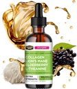 Collagen Mojo - Liquid Collagen for Women & Men, Collagen Peptides Lion's Mane Mushroom, Elderberry & L-Theanine - Ile-alea, azala, Nails, Joint Support, Focus, High Absorption - 100,000mcg, 2 Oz