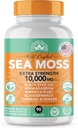 爱尔兰海 Moss 3500 mg,黑种子油 2000 mg, Bladderwrack 1000 mg, Burdock root | 野生爱尔兰海摩斯 | 豁免补编 | 海摩斯与Burdock root | 90 Counter