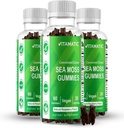 Vitamatic Irish Sea Moss Gummies with Bladderwrack & Burdock Root – Botanical Extract Supplement – Vegan, Non-GMO – 60 Count - 3 Pack