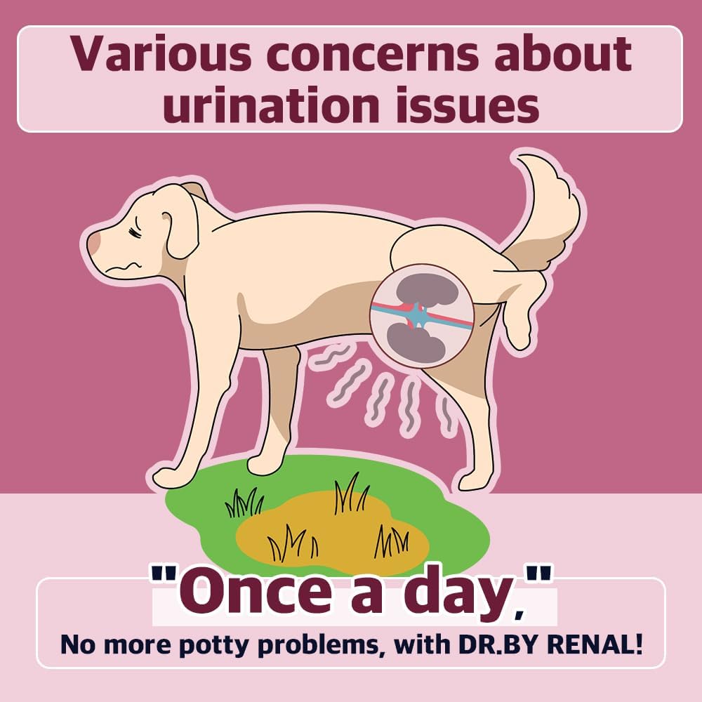 Dr.by Renal Rim Besouro Uretra Suplemento Nutricional para Cães e Cachorro - Doce Batata Flavored Dog Supplement for Dog ITU, 30 Conde embalado individualmente (Pacote de 1)