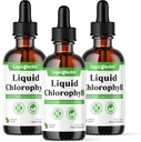LiQUIDHEALTH flytende klorofylldråper - Intern deodorizer, antioksidanter, leverdetox, immunstøtte, lindre dårlig puste, redusere aptit, kollagen for hår og hud helse - Vegan, ikke-GMO (3 pakke)