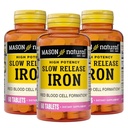 Mason Natural Slow,Release Iron (Ferrous Sulfate) 50 mg Tablets, 180 Day Supply, High Potency Supplement, Gentle on Stomach, 3 Pack