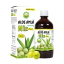 Básico Ayurveda Aloe Amla Mix Juice Mistura de Aloe Vera & Amla Fruta , primeira imprensa suco virgem , planta-baseada diária , Vegan & Non-GMO , 32,46 Fl Oz (960ml)