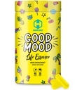 Good Mood - All Natural Nootropic with Lion's Mane Mushroom and Herbal Extracts for Cognitive and Mental Support - Stress Relief, Brain Performance, Mood Enhancement, 90 Capsules