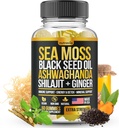 Sea Moss, Black Seed Oil, Ashwagandha, Ginger, Shilajit Gummies med Elderberry, Chlorophyll, Turmerisk Bladderwrack Sea Moss Gummies Advanced Strength Formel - Alt i 1 bundle - USA Made (60 Gummies)