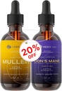 Bundle - Mullein Leaf Extract & Lions Mane Mushroom Supplement - Respiratory Support & Brain Support