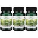 Swanson Black Ginger Extract - Promotes Healthy Blood Circulation and Physical Vigor - May Aid Heart Health, Muscle Tissue, and Mental Wellbeing - (30 Veggie Capsules, 100mg Each) (3 Pack)