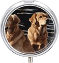 Skrzynka na pióro 3 Okrągły Pill Organizator Codzienne małe pióro Case for Travel Golden Retrievers Metal Pill Container Portable Medicine Organizer for Pill Vitamin Fish Oil Supplement