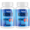 Kidney Support Supplement – Kidney Cleanse Detox with 600mg Niacinamide & Chitosan Oligosaccharides – Phosphorus-Conscious Formula – Vegetarian Capsules for Adults – 2 Bottles
