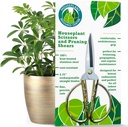 Premium huisplantschaar 100% roestvrij staal, ultraprecieze tuinclippers voor het verbouwen en afknippen Rust-resistant, gemakkelijke schone snoeischaar binnen en buiten Comfortabele & Ambidextrous