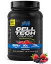 MuscleTech Creatine Monohydrate Powder Cell-Tech Creatine Post Workout Recovery Drink Muscle Builder For Men & Women Muscle Building Supplements Fruit Punch, 2.90 lbs (27 Serv)