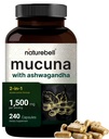 Mucuna Pruriens Capsules, Triple Strength 1500mg Per Serving, 2 in 1 Formula, Made with Mucuna and Ashwagandha, 240 Capsules, Potent Seed Extract, Positive Mood, Relaxation & Restoration Support
