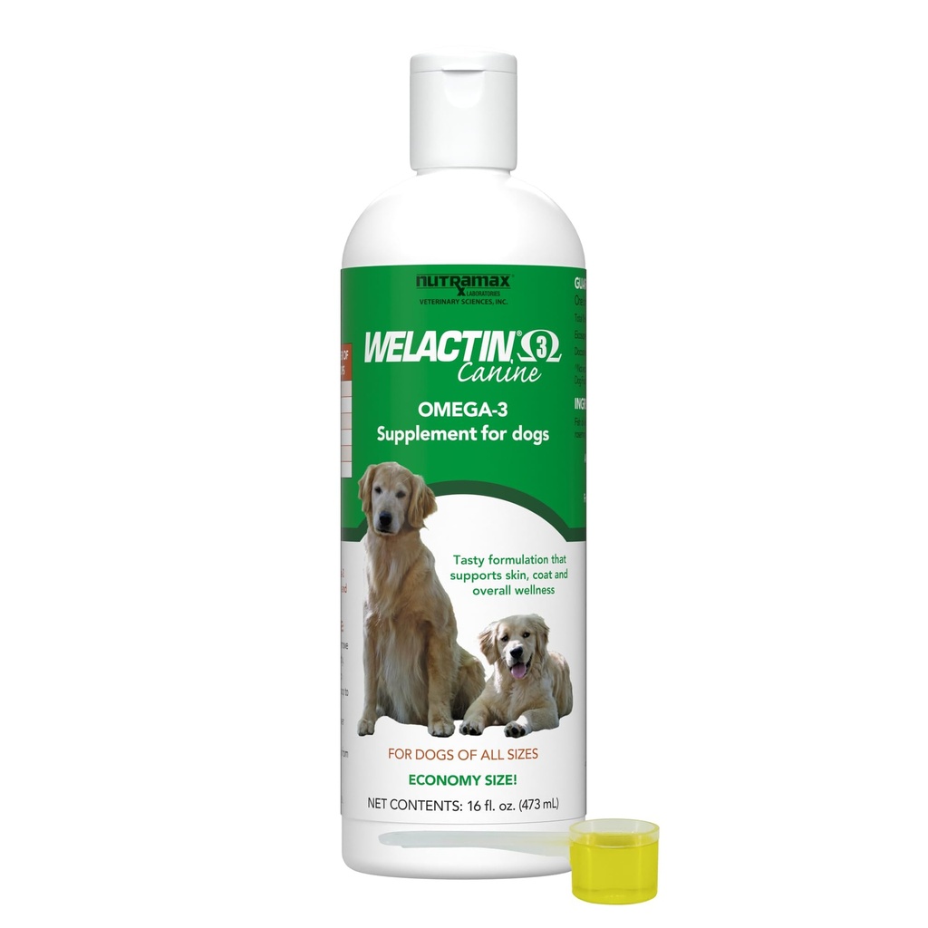 Nutramax Welactin Omega 3 Fish Oil for Dogs, Skin and Coat Health Supplement, Plus Joint, Immune, Kidney, and Brain Support, Premium Omega 3 Fatty Acids, for Dogs, 16 Ounce Liquid (3 Pk)