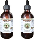 White Pine Alcohol-Free Liquid Extract, White Pine (Pinus Strobus) Сушен кора Glycerite Natural билкови добавки, Хавай Pharm, САЩ 2x2 fl.oz