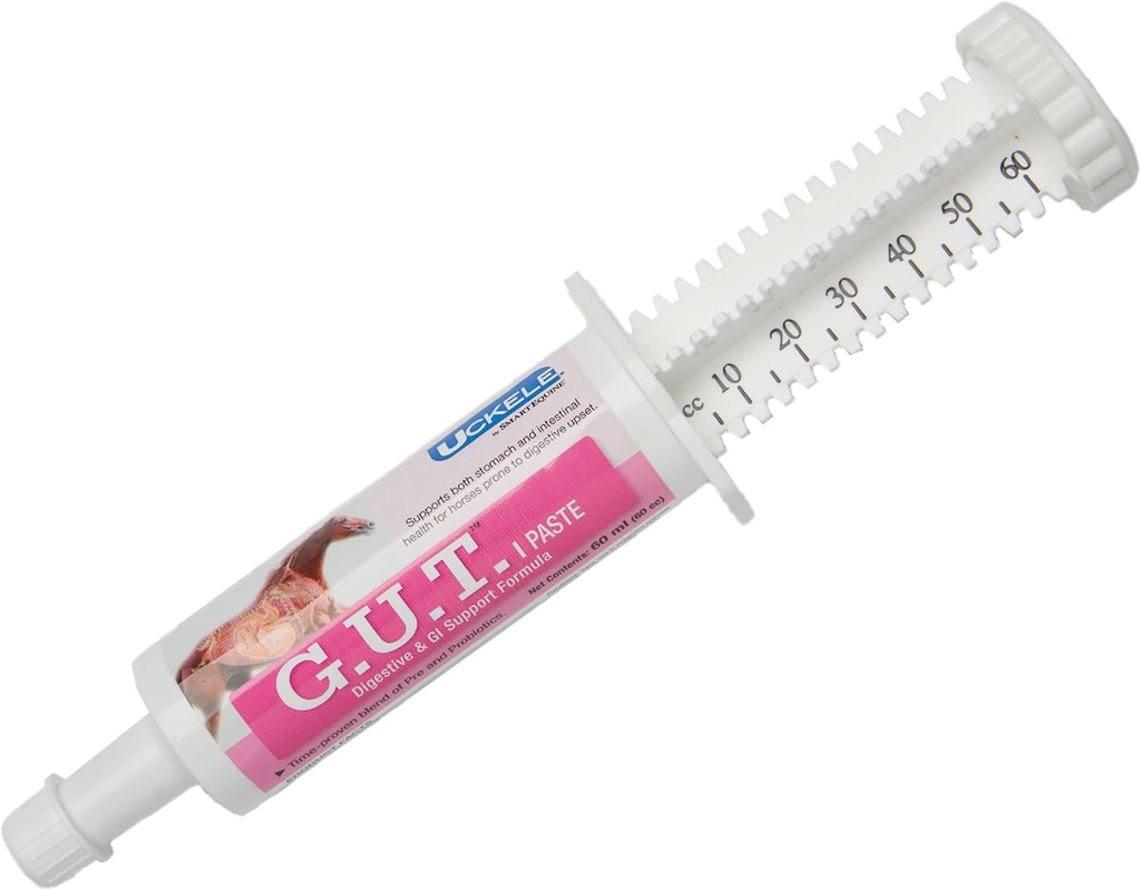 由SmartEquine GutTM Paste QQ马的消化剂补充马的Probiotics & Prebiotics,Equine Gut Health Paste QQ对马的胃支持