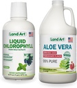 Land Art Aloe Vera Juice - Pomegranate Flavored - Cold Processed - Inner Filet from Organic Leaves - 64floz + נוזל Chlorophyll Mint Flavored - Cold Extracted from Wild non-GMO alphalfa - 16floz