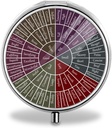 Wiel van gevoelens en emoties - 3-vaks ronde pil Organisator - Roestvrij staal - Draagbaar & Compact - Ideaal voor kleine pillen en vitamines - Perfect voor reizen en dagelijks gebruik