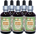 Muira Puama (Ptychopetalum Olacoides) Glycerite, Organic Alcohol-Free Liquid Extract (Brand Name: HerbalTerra, Proudly Made in USA) 5x2 fl.oz (5x60 ml)