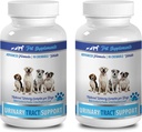 dog bladder incontinence chewables - DOG URINARY TRACT SUPPORT - NATURAL CRANBERRY SOLUTION - BLADDER HEALTH - VET RECOMMENDED - dog cranberry extract - 2 Bottle (180 Treats)