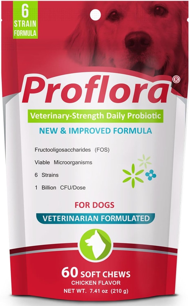 Probiotika pro Dogs- Complete Gut Health & Imunitní podpora. Snadné použití trávicí multi- stravovací probiotika. Jednodušší dietní přechody, zdravější pleť & Coat & Pomáhá léčit průjem. 60 měkkých žvýkaček
