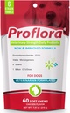 Probiotici per Dogs-Complete Gut Health & Immune Support. Facile da usare Probiotici Multi-Strain digestivi. Trasmissioni dietetiche più facili, pelle più sana & Coat & aiuta a trattare la diarrea. 60 Soft Chews