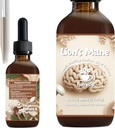 Lion의 Mane Tincture – 유기 뇌 및 초점 지원 – Ultra-Potent Alcohol-Based Liquid Mushroom Extract – 2 oz
